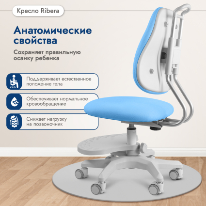 2. Анатомические свойства